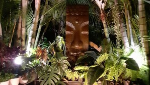 Ein tropischer Innenbereichsgarten mit Wasserspiel, verschiedenen Pflanzen und einem zentralen Dekorationselement.
