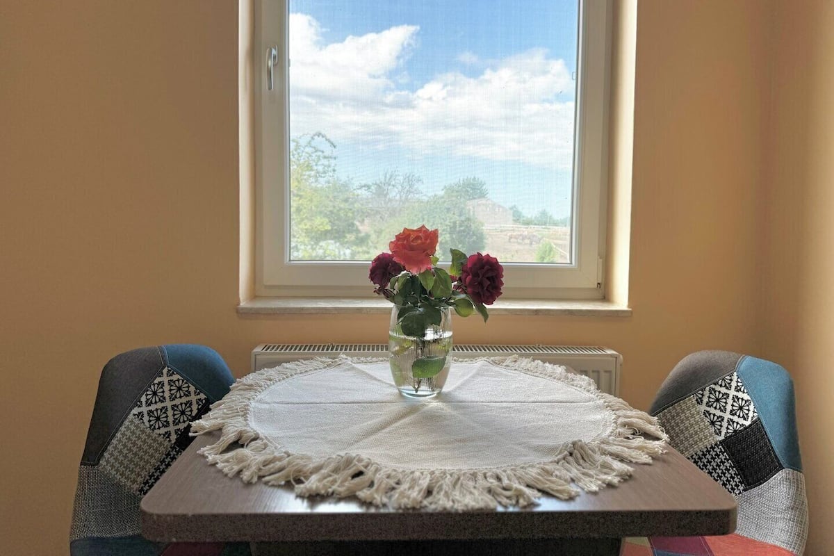 A dining table with a vase of flowers, two patterned chairs, and a window with a view of the sky and trees.