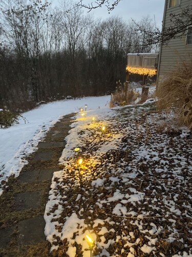 Cozy safe 1 BR Private apartment Traveling Professionals near skiing Hospitals