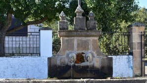 Uma fonte de pedra com água jorrando do centro, cercada por um muro baixo e um canteiro de flores com flores rosa e vermelhas.