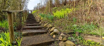 Apartment Near North Sea Dike With Garden