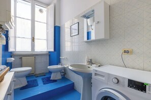 Shower, hair dryer, bidet, towels