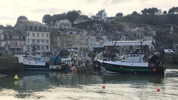 Un puerto con barcos amarrados, edificios a lo largo de la orilla y una colina al fondo.