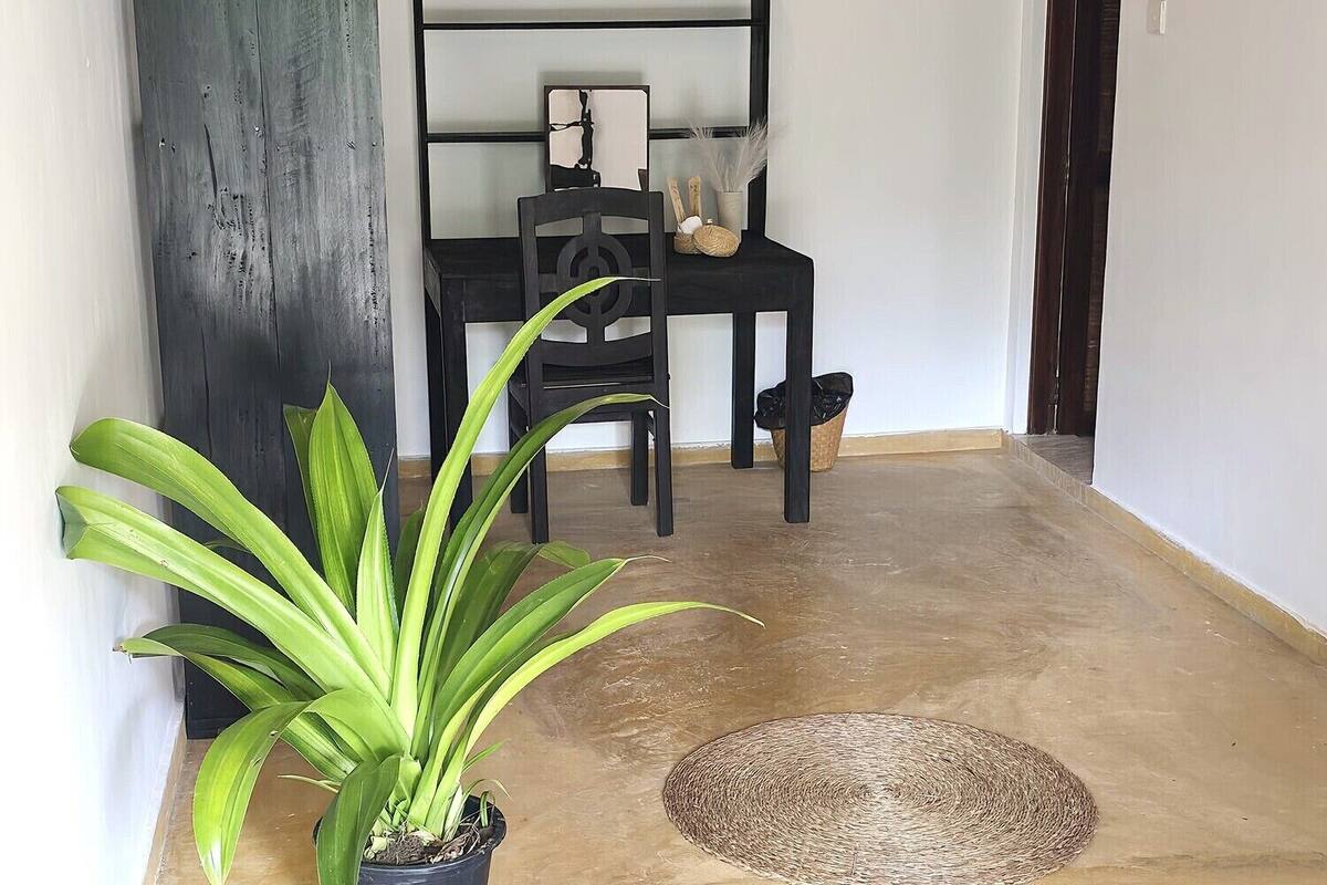 Una habitación con piso de concreto, una silla negra, un tapete redondo pequeño y una planta en maceta.