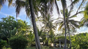 Un sentier qui mène à un restaurant appelé « Cabanas », entouré d’une végétation luxuriante et de palmiers.