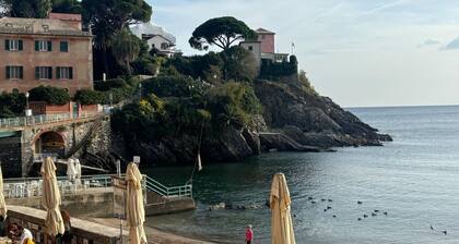 A window to the sea - Beautiful apartment all renovated Nervi Genoa