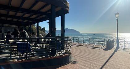 A window to the sea - Beautiful apartment all renovated Nervi Genoa