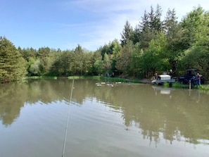 A calm lake with a fishing rod in the water, surrounded by dense trees and a clear sky. - 6 Person Holiday Home in Ringkobing (Ringkobing)