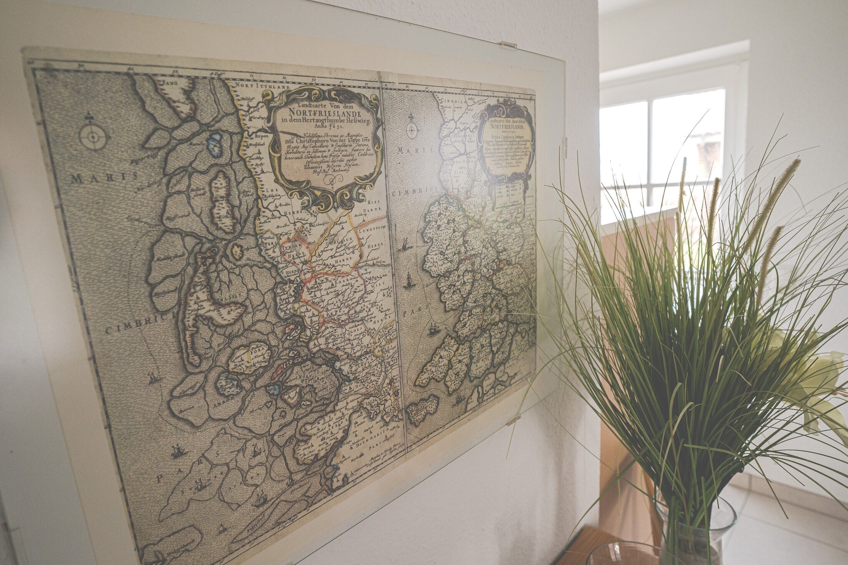 Une carte historique encadrée est accrochée au mur, et une plante en pot se trouve à côté.