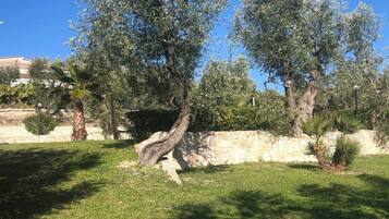 Àrea exterior de l'allotjament