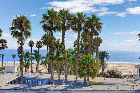 Beach nearby, sun-loungers, beach towels. Carnelian Calm' Beach Retreat Rooftop Pool Access, BBQ 1 Block to Beach, Parking