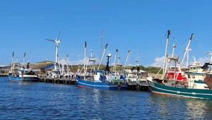 A marina with several fishing boats docked. - 4 Person Holiday Home in Ringkobing (Ringkobing)
