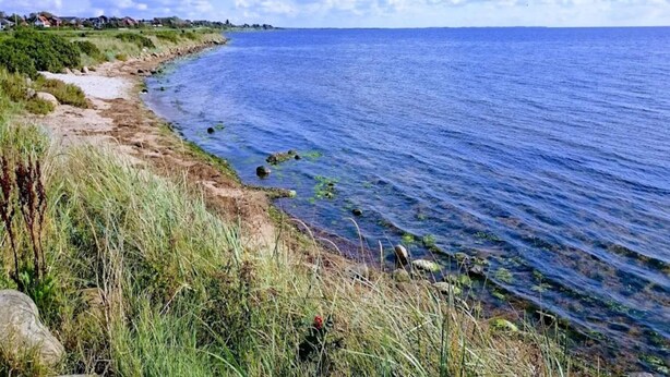 A coastal landscape with a clear sky, a sandy path leading to the sea, and distant houses. - 4 Person Holiday Home in Ringkobing (Ringkobing)