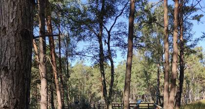 3-Room non-smoking apartment with Kitchen and Balkony in Seelze with WiFi access