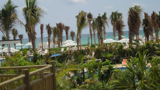 A beach resort with palm trees, umbrellas, and a pool area.