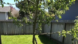 A backyard with a tree, a wooden fence, and a grassy lawn.