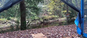 Riverside cabin in the woods