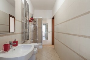 Shower, hair dryer, bidet, towels
