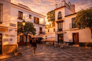 Exterior - City Center - Giralda - Cathedral - Families - Couples - Telecommuting (Sevilla)
