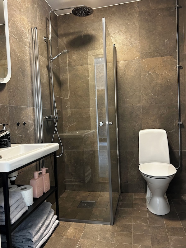 A modern bathroom with a glass-enclosed shower, a white toilet, and a sink with toiletries.
