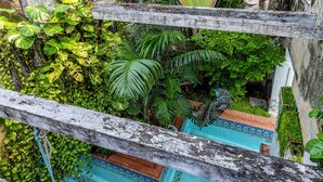 A rooftop garden with lush greenery, including banana trees and various tropical plants. - Alta Gastelbondo (Cartagena de Indias)