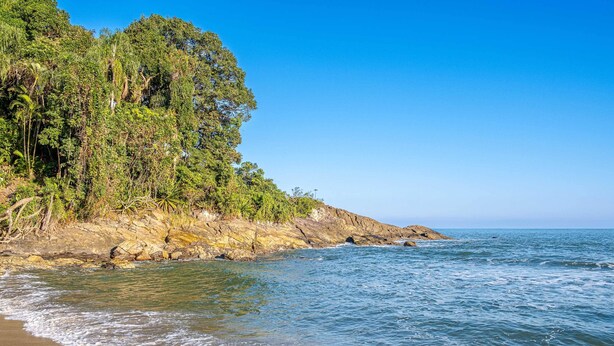 Una playa con agua azul cristalina, costa rocosa y abundante vegetación verde.