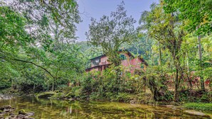 Una casa rodeada de exuberante vegetación y un arroyo cristalino.
