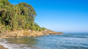 Ein Strand mit klarem, blauem Wasser, felsigem Ufer und dichtem, grünem Grün.