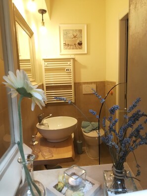 Shower, rainfall showerhead, free toiletries, hair dryer