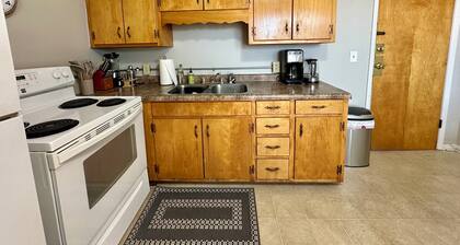 Cozy 1BR on Main St 10 min to Indy
