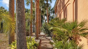 Un sendero pavimentado bordeado de palmeras y diversas plantas, que conduce a un edificio de fachada color crema.