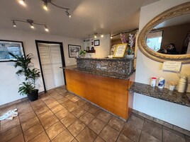 A reception desk with a wooden counter, a potted plant, and a mirror on the wall.