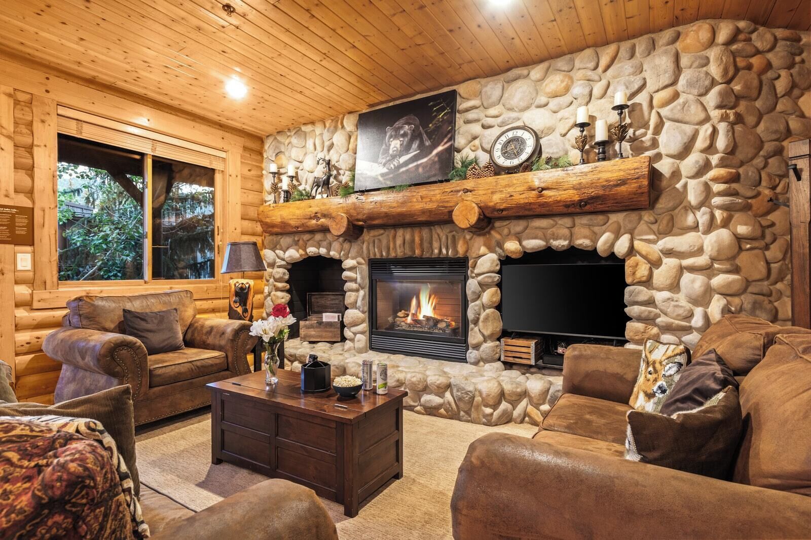 TV, fireplace