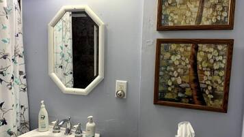 Secador de cabelo, toalhas de banho, sabonete, papel higiênico