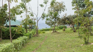 A grassy area with trees and a path. - ngirisi hill silverback  lodge-bwindi (Bwindi)