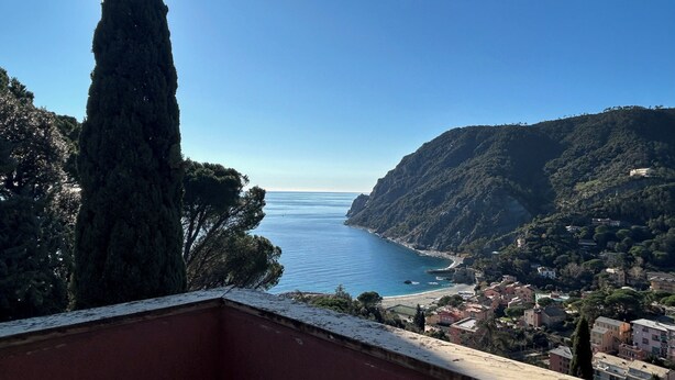 A coastal town with a view of the sea, a prominent tall tree, and a hillside with buildings. - Historical Villa 'The Birdhouse' - Garden & Views (Monterosso al Mare)