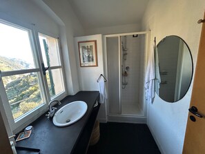 Shower, hair dryer, bidet, towels