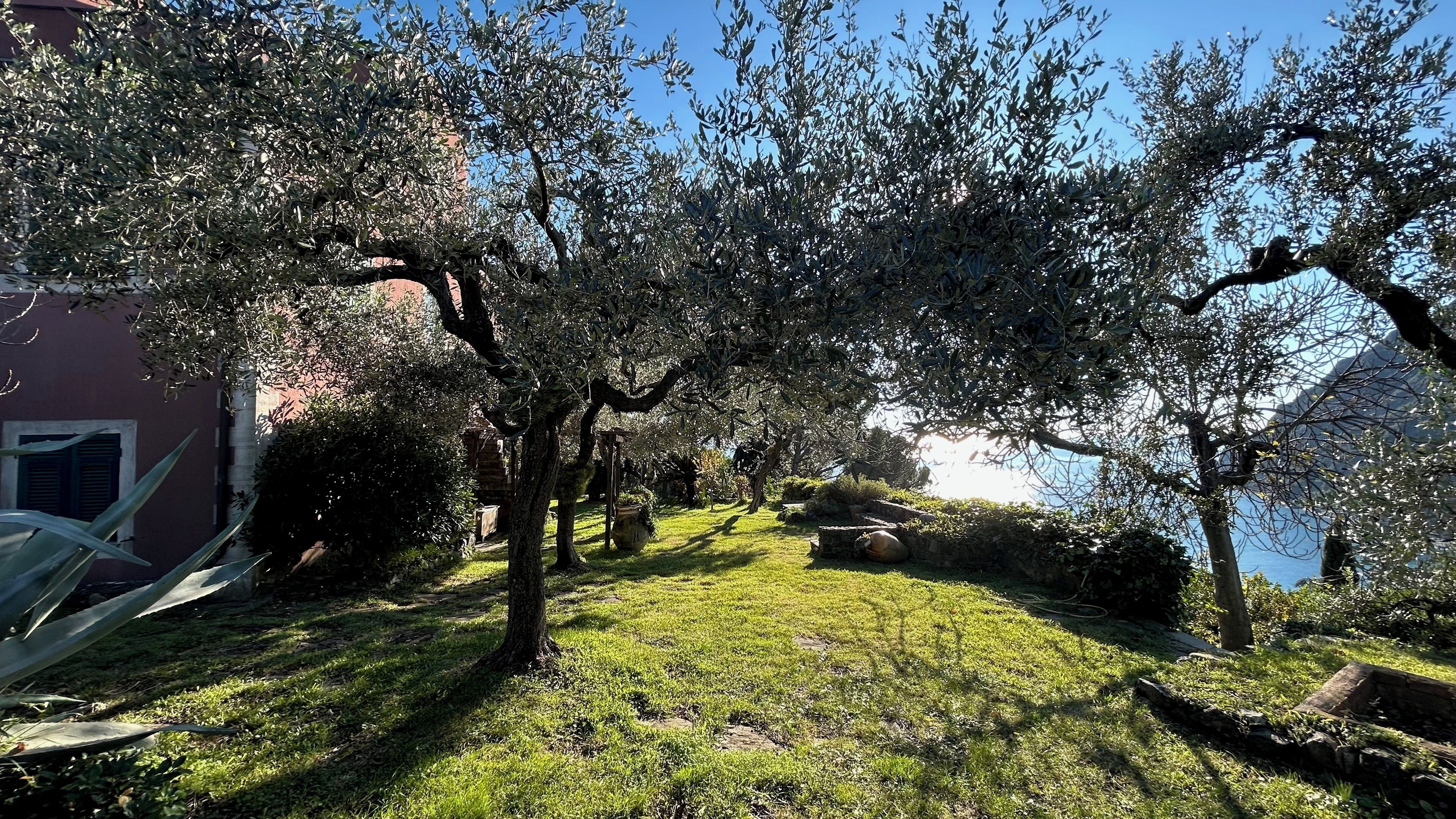 Parco della struttura