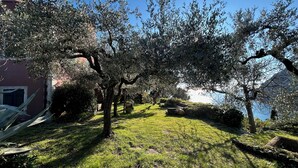 A garden with trees, a pathway, and a building in the background. - Historical Villa 'The Birdhouse' - Garden & Views (Monterosso al Mare)