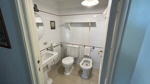 Regadera, secadora de cabello, bidet, toallas 