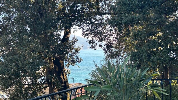 Vista di una zona costiera con alberi e una ringhiera.
