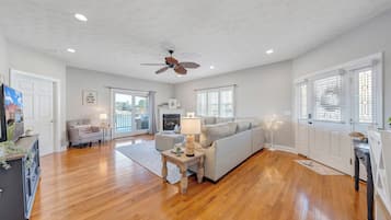 Smart TV, lareira, videogames, livros