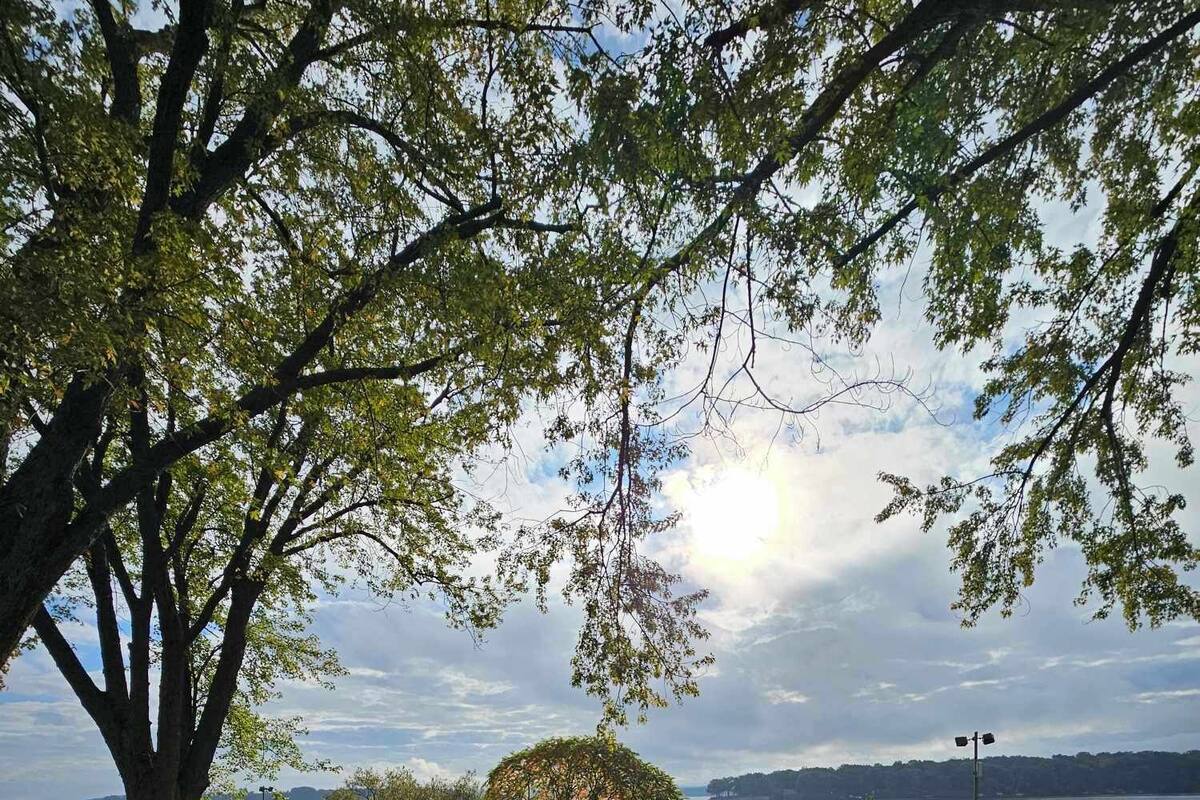 Deluxe Cottage, 2 Bedrooms, Lake Front | View from room
