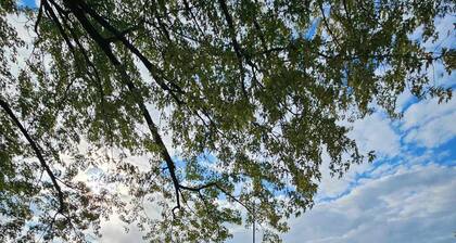 Southview Cottages Resort