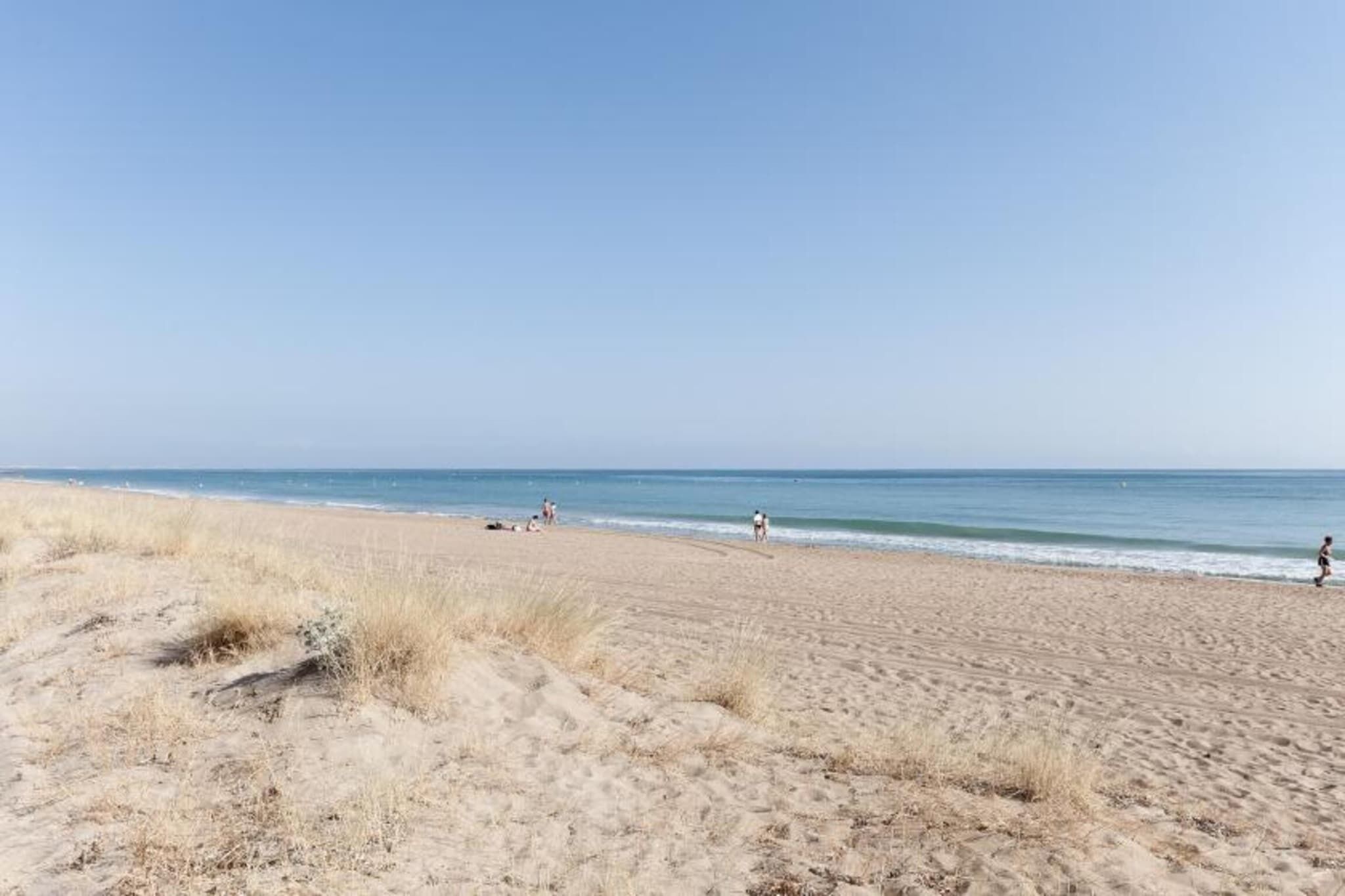 Playa en los alrededores 