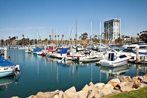 Marina - One Bedroom Breathtaking Whitewater Ocean Views! (Oceanside)