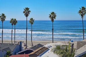 A beachfront property with palm trees, a beach, and ocean views.