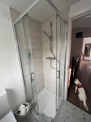 Shower, hair dryer, towels, soap