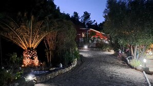 Ein Schotterweg führt zu einem Haus mit einer Steinmauer und einer Palme, die von Lichtern beleuchtet wird.
