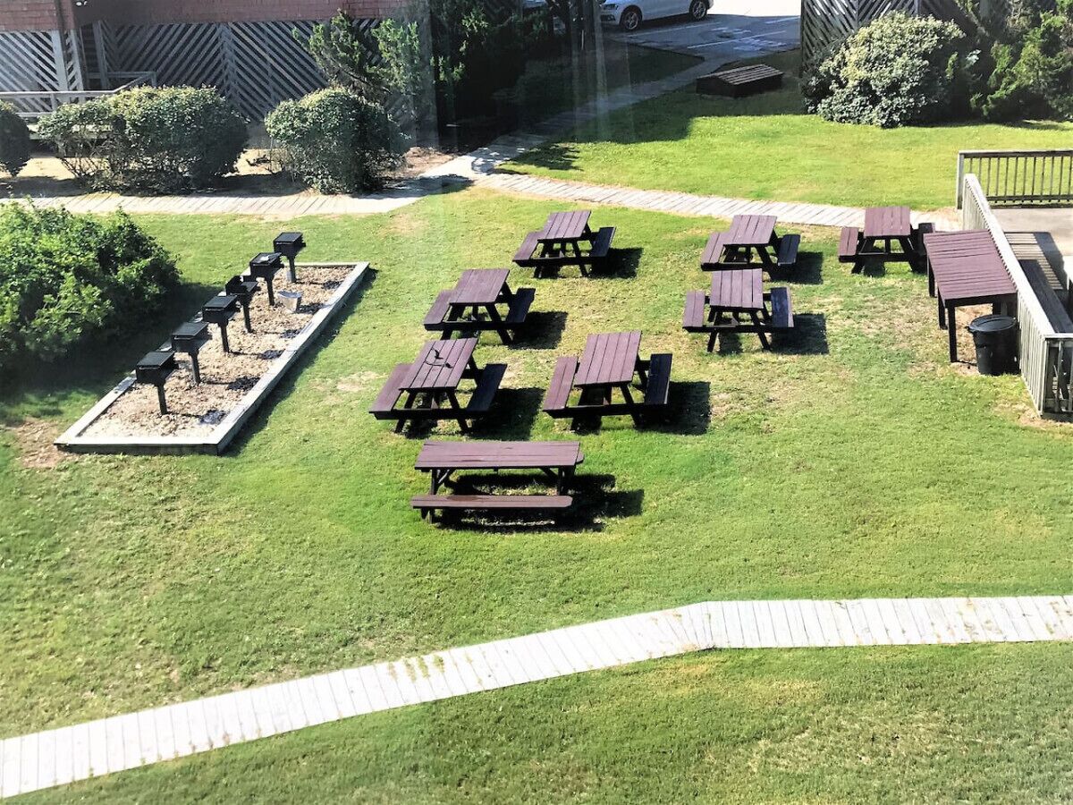 A grassy outdoor area with picnic tables arranged in a semi-circle.